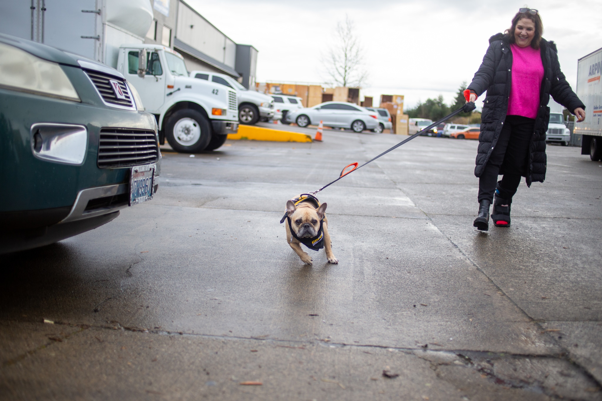 Pet-friendly moving services and residential relocation by Golden Services LLC
